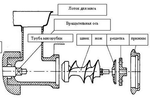 Gaļas maļamā mašīna: ierīces diagramma, kā izvēlēties gaļas mašīnā un pārstrādes secībā pēc lietošanas