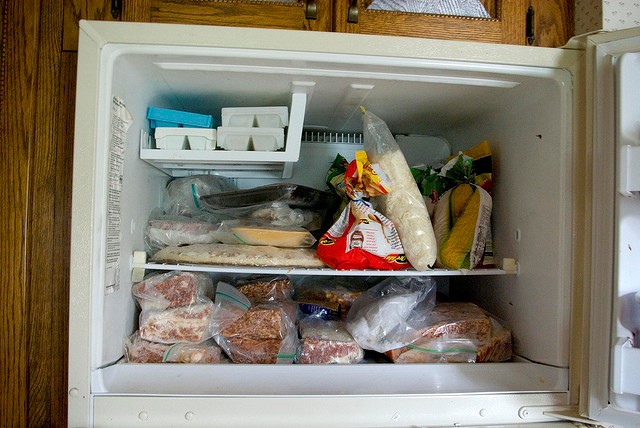 Come scongelare rapidamente e correttamente un congelatore e cosa fare con gli alimenti durante lo scongelamento