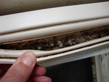 Mùi trong tủ đông: làm thế nào để làm sạch và tại sao nó phát sinh
