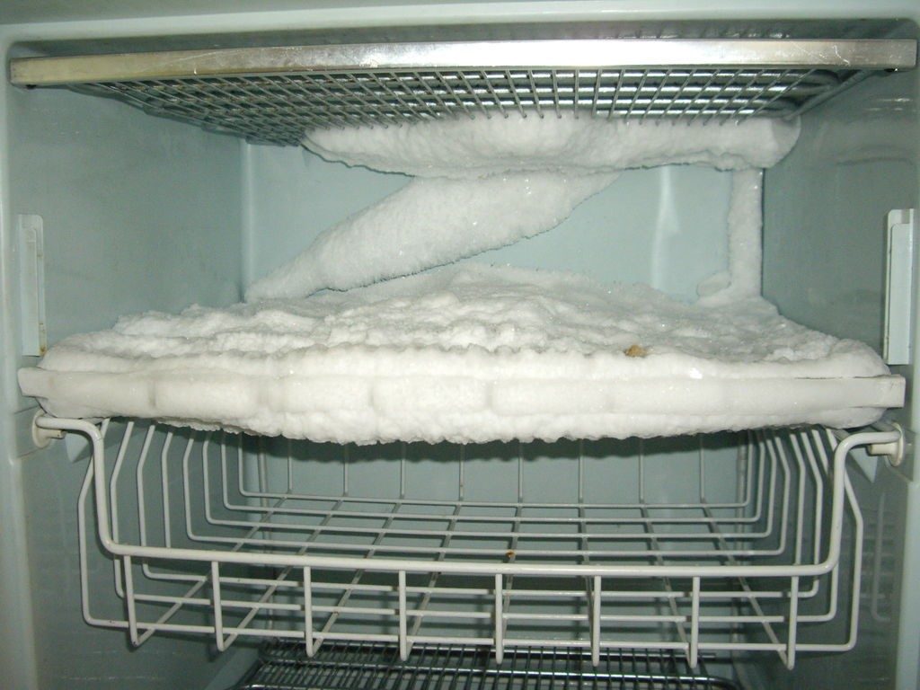Mennyibe kell állni a hűtőszekrénynek szállítás után - mikor és hogyan kell bekapcsolni az új hűtőszekrényt