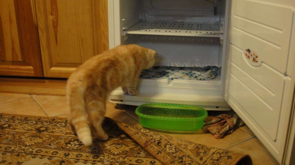 Sustav za odmrzavanje u hladnjaku - što je, kako ga koristiti, prednosti i nedostaci sustava