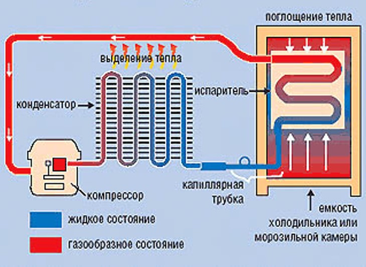 Ako chladnička funguje: princíp a schéma práce chladiacich zariadení rôznych typov