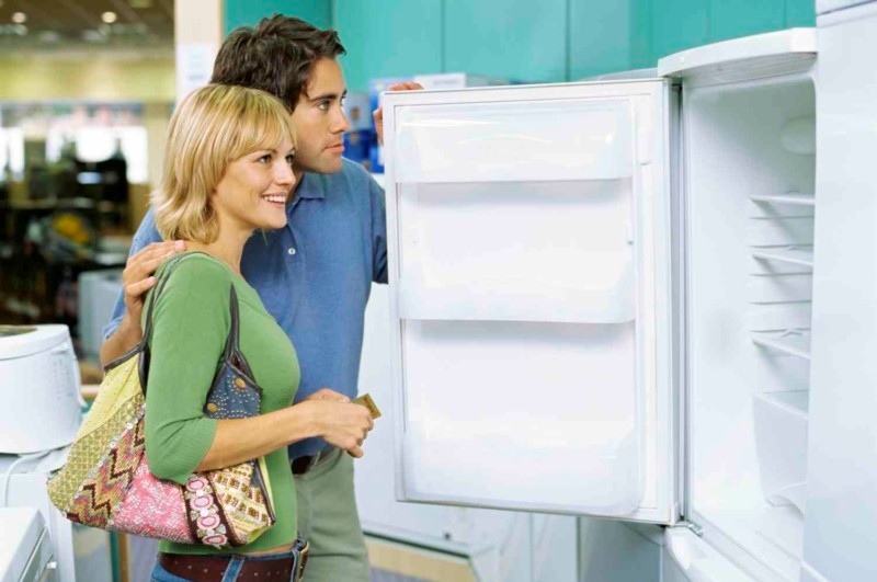 : Ktorá chladnička je lepšia: jednokompresorová alebo dvojkompresorová - rozdiely a výhody každého typu