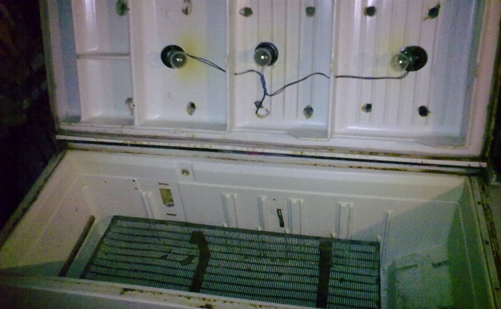 كيفية التخلص من الثلاجة القديمة: قواعد التخلص وفقا للقانون ، والشركات لاستقبال المعدات القديمة ، وخيارات محلية الصنع