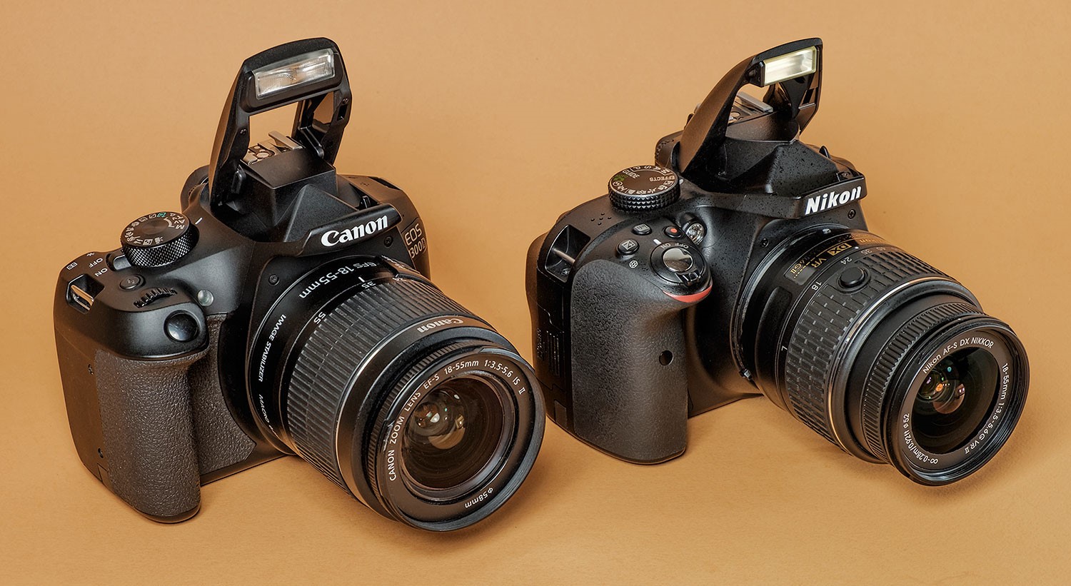 Nikon alebo canon: ktorá SLR je lepšia a ako si vybrať?
