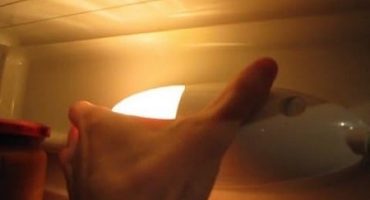 Hvordan bytte en lyspære i kjøleskap og hva slags lamper