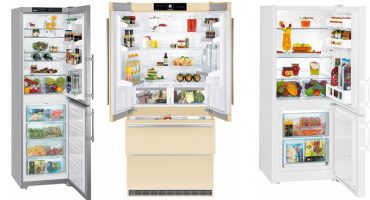En savoir plus sur les capacités modernes des réfrigérateurs et leurs types